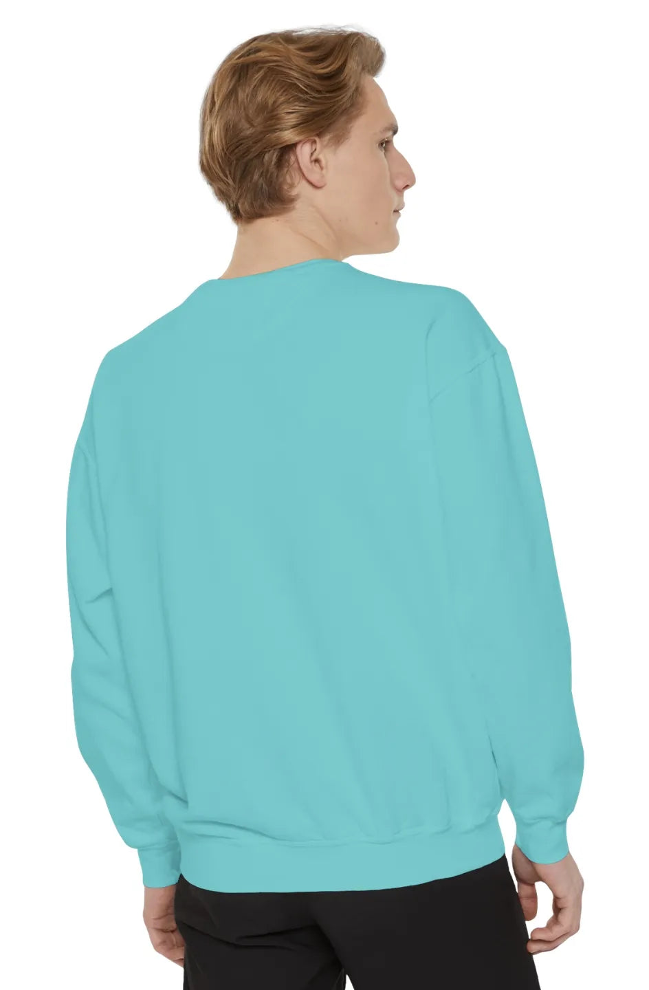 Men's Medium Heavy Sweatshirt "Peculiar Proctologist"