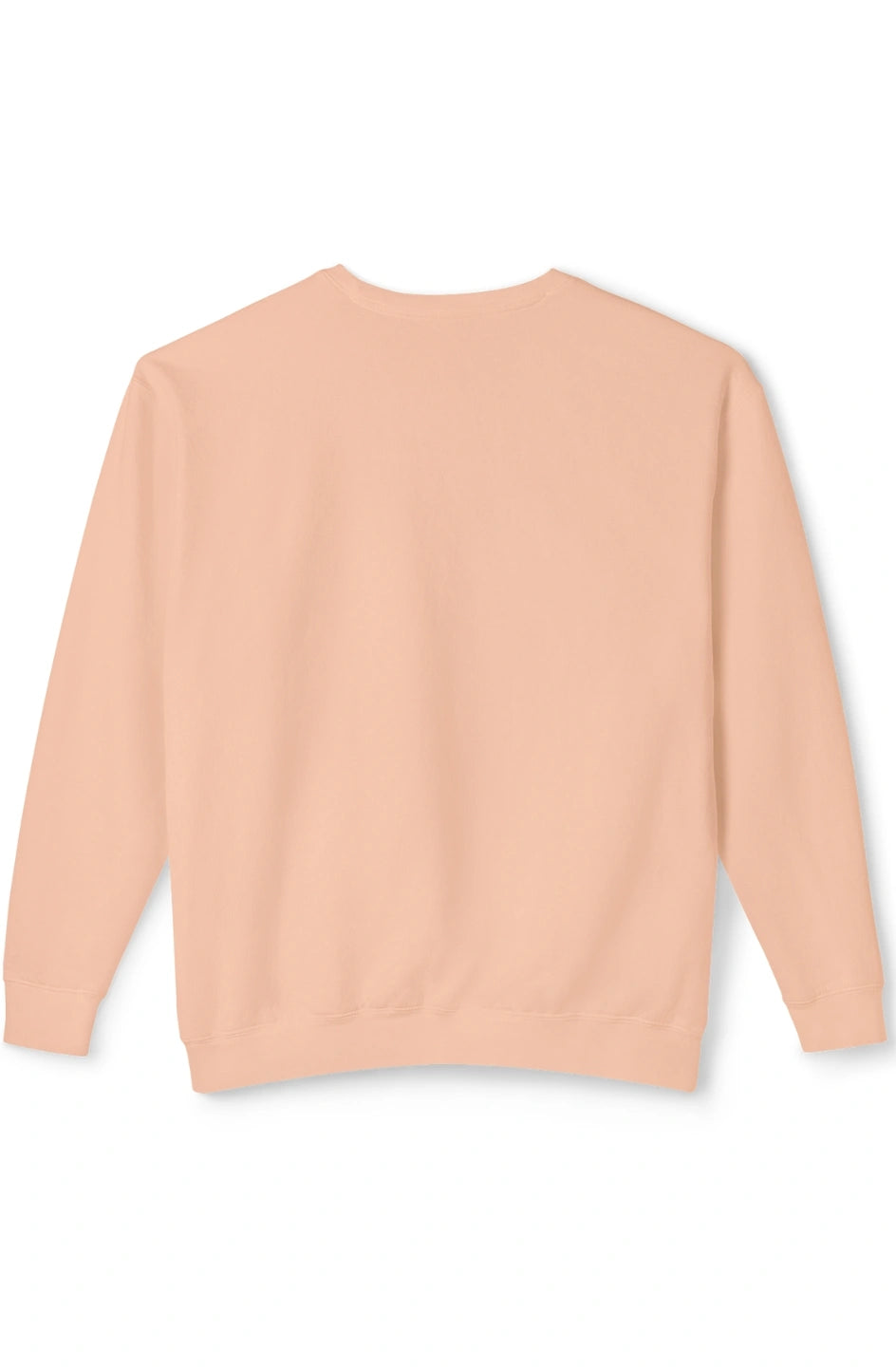 Men's Lightweight Sweatshirt "Investi-Gator"