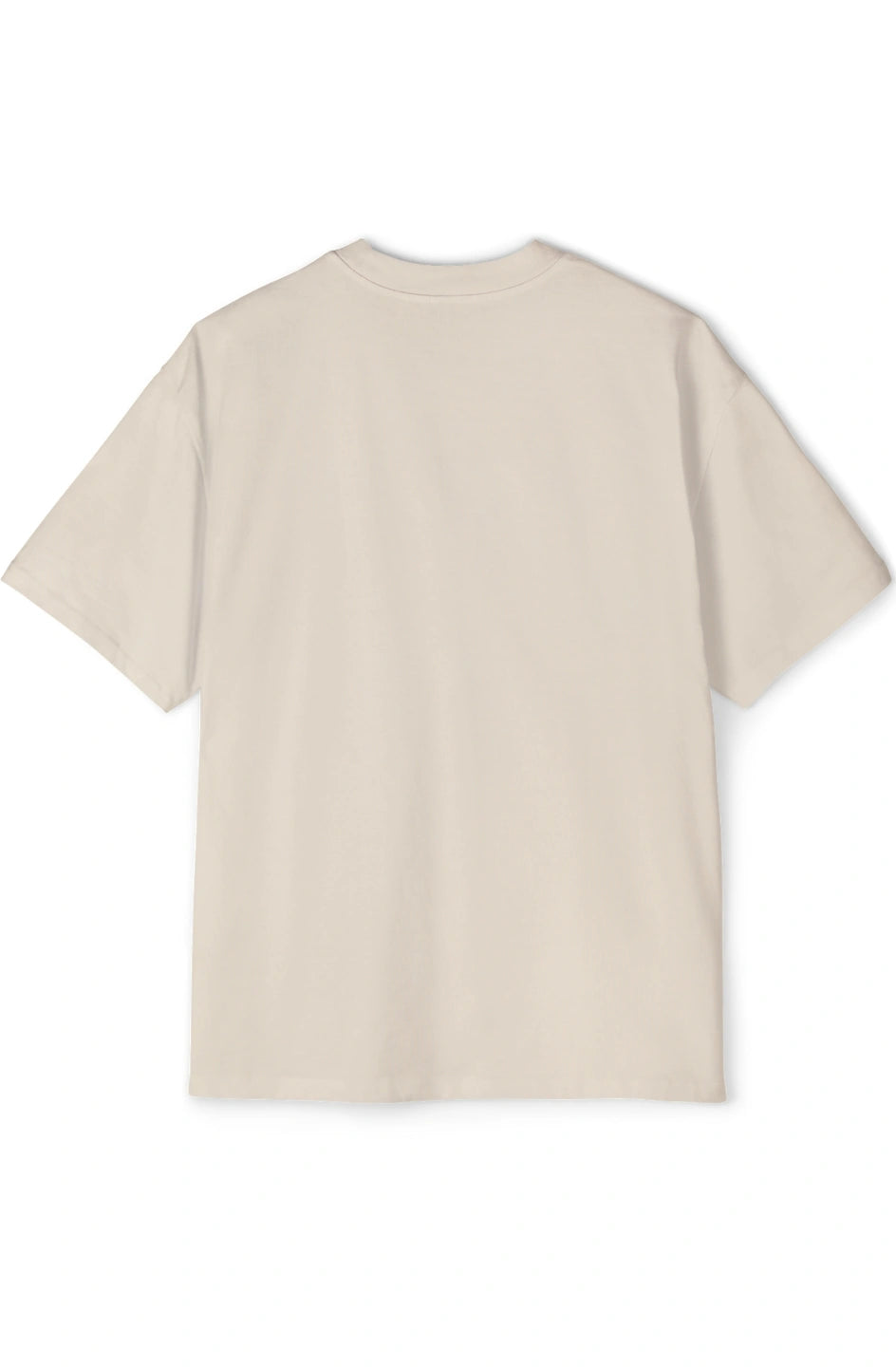 Men's Heavy Oversized Tee "I Got a Pay Bump!"