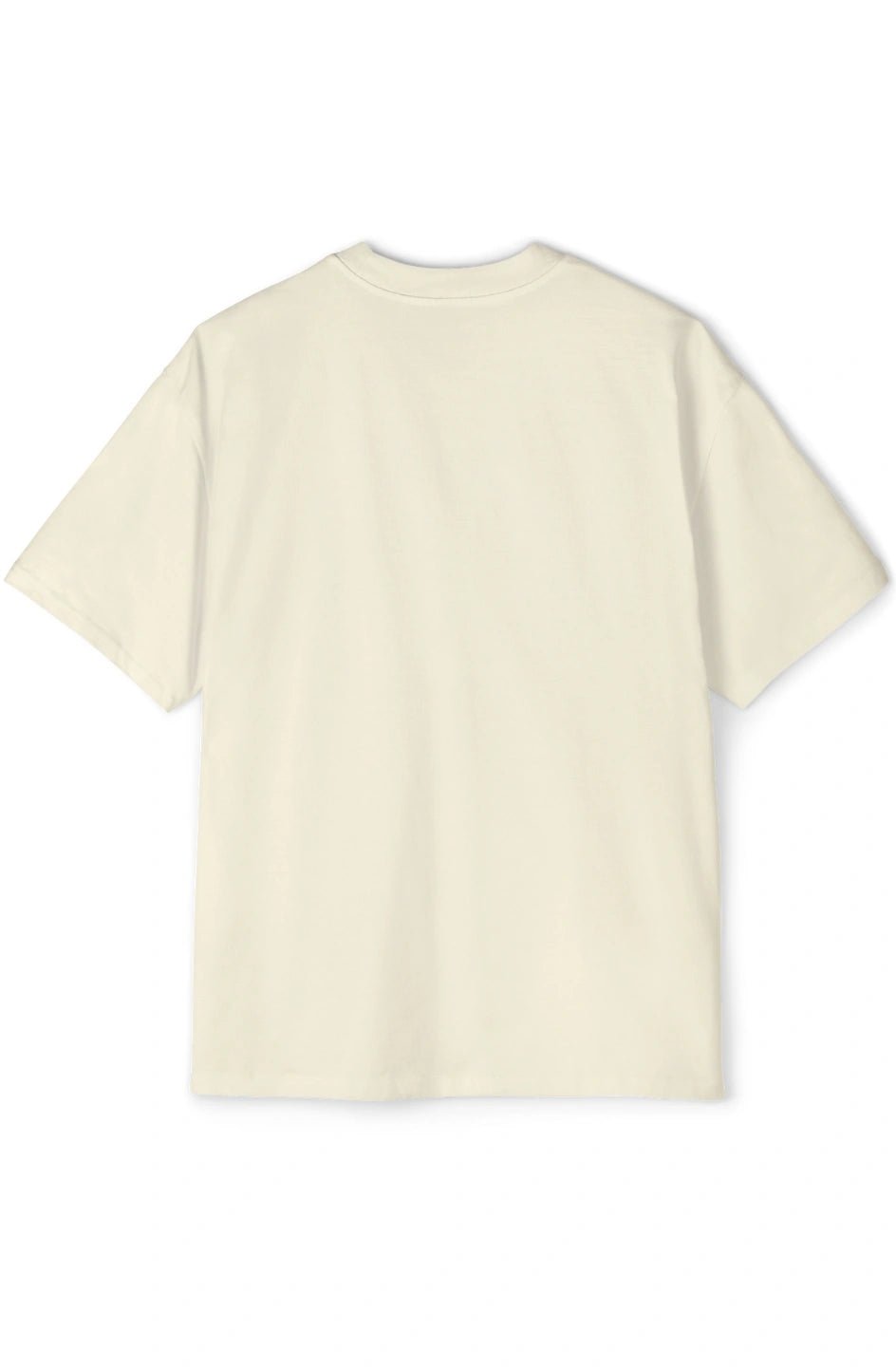 Men's Heavy Oversized Tee "I Got a Pay Bump!"