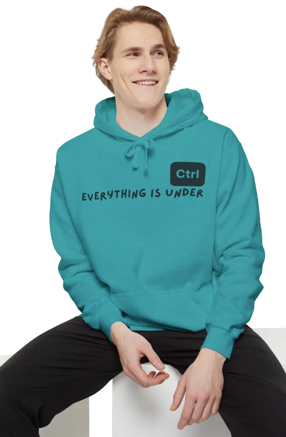 Men's Medium Heavy Hoodie "Everything is under control"