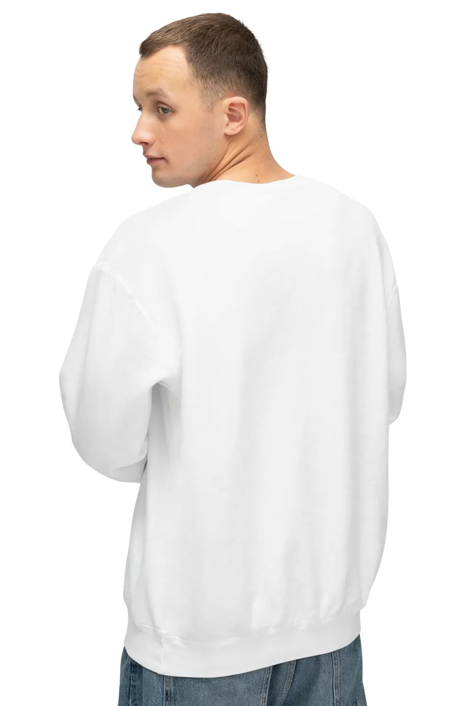 Men's Lightweight Sweatshirt "Wise Doctor Once Said"