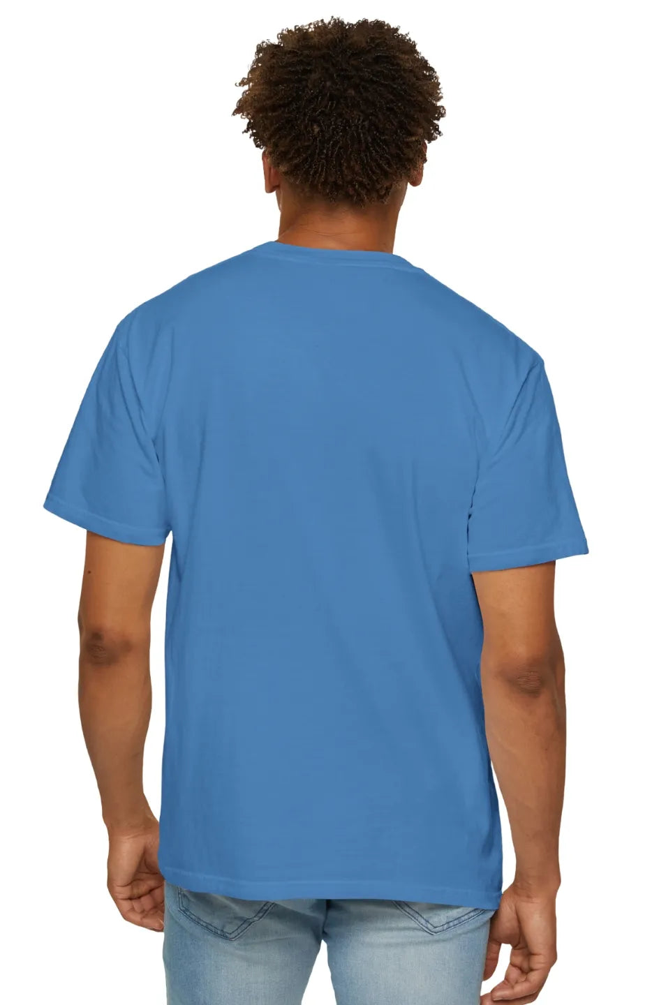 Men's Midweight Garment-Dyed T-shirt "Wise Doctor"