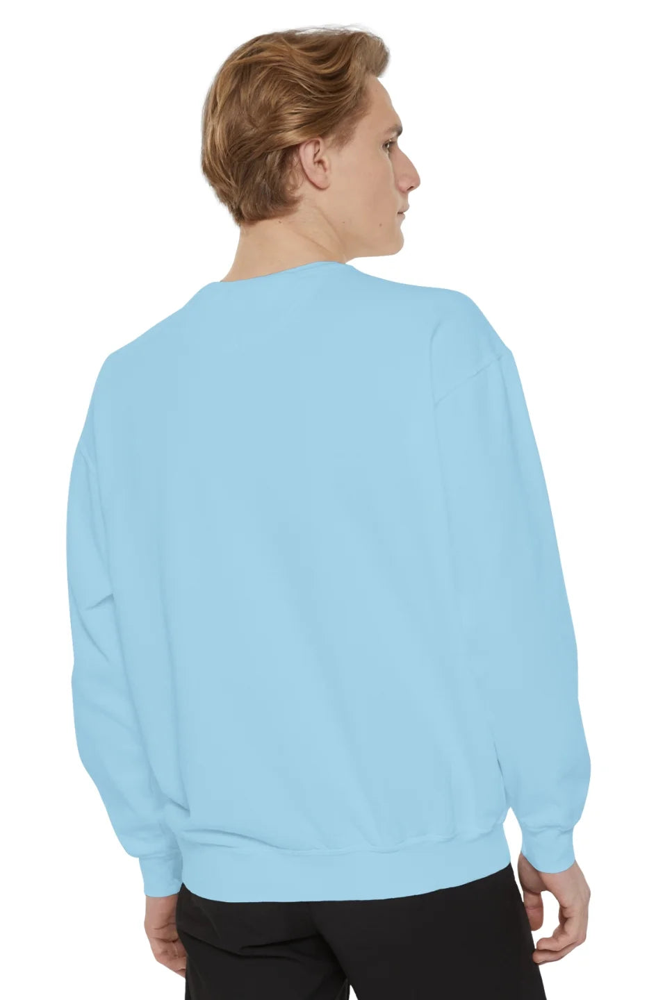 Men's Medium Heavy Sweatshirt "I Paid You For This"
