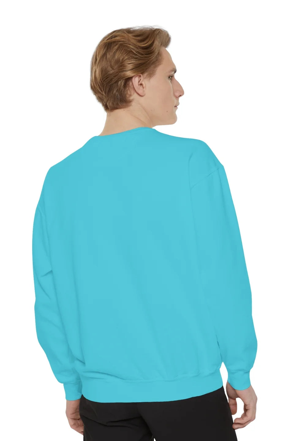 Men's Medium Heavy Sweatshirt "I Paid You For This"